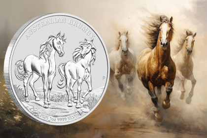 NOV MOTIV - Australien Brumby 2025