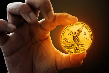 Zakaj so kovanci odlična investicija?