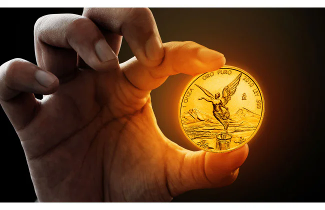 Zakaj so kovanci odlična investicija?