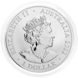 Avstralija: 1 AUD 2022 - 1oz .999 Ag BU - Dusky Dolphin (Temni pisani delfin)