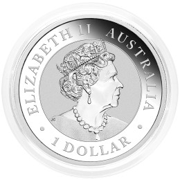 Avstralija: 1 AUD 2019 - 1oz .999 Ag BU - Wedge-Tailed Eagle (REPATI OREL) | Elizabeth II