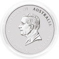 Avstralija: 1 AUD 2024 - 1oz .9999 Ag BU - QUOKKA (AU0989X002832) numizmatika kovanci