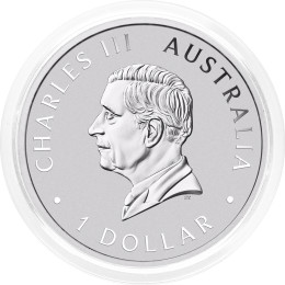 Avstralija: 1 AUD 2024 - 1oz .9999 Ag BU - WEDGE TAILED EAGLE (REPATI OREL)