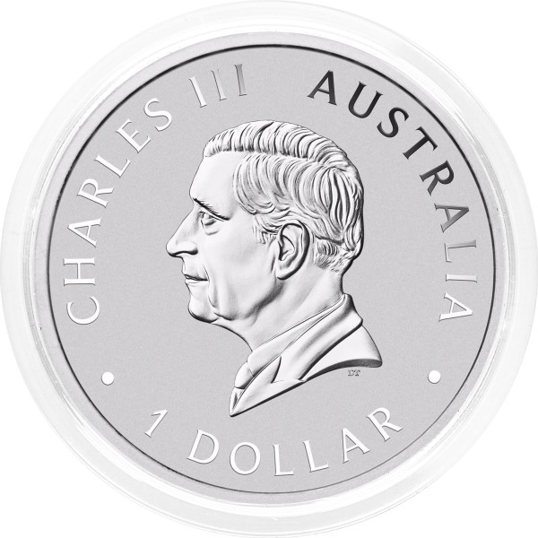 Avstralija: 1 AUD 2024 - 1oz .9999 Ag BU - WEDGE TAILED EAGLE (REPATI OREL) (AU0989X002784) numizmatika kovanci