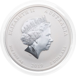 Avstralija: srebrni kovanec Lunar II Year of the Pig (Leto prašiča) 2 AUD 2019 2 oz BU barvni 999.9 srebro, Perth Mint