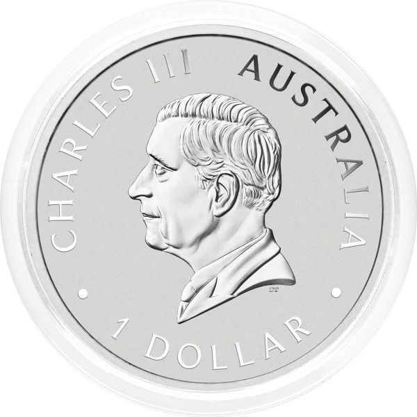 Avstralija: srebrnik Australian Emu BU 1 AUD 2026 1 oz .9999 srebro, Perth Mint (AU0988X003749) numizmatika kovanci