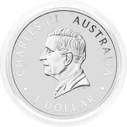 Avstralija: srebrnik Brumby BU 1 AUD 2025 1 oz .9999 srebro, Perth Mint