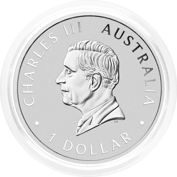 Avstralija: srebrnik Kookaburra 1 AUD BU 2026 1 oz .9999 srebro, Perth Mint (AU0987X003544) numizmatika kovanci