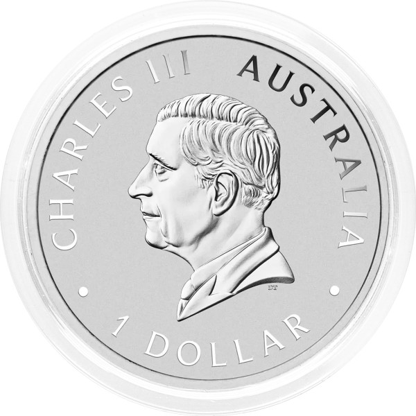 Avstralija: srebrnik Swan (Labod) BU 1 AUD 2026 1 oz .9999 srebro, Perth Mint (AU0987X003745) numizmatika kovanci