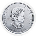 Kanada: srebrnik Sabre-Toothed Tiger BU 10 Dollars 2023 2 oz .9999 srebro, Royal Canadian Mint (CA0990X003753) numizmatika kovanci