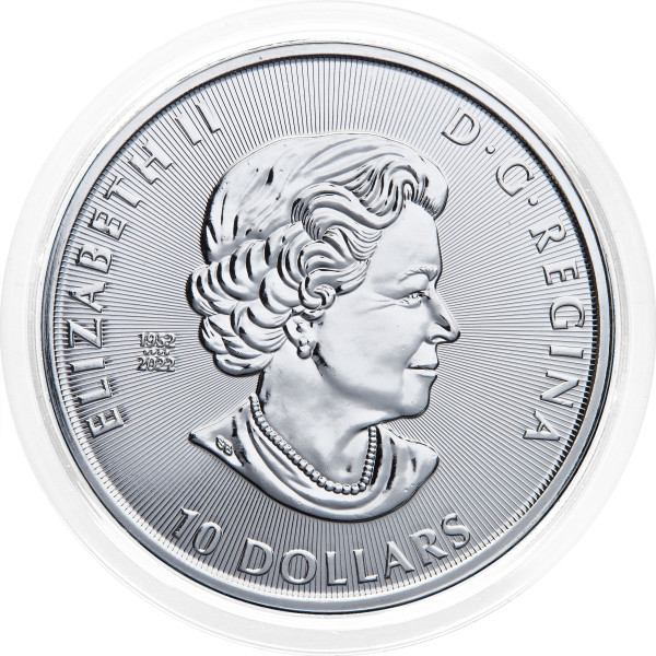 Kanada: srebrnik Sabre-Toothed Tiger BU 10 Dollars 2023 2 oz .9999 srebro, Royal Canadian Mint (CA0990X003753) numizmatika kovanci