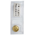 Kitajska (Ljudska republika): zlatnik Panda 20 Yuan BU 2004 1/20 oz .999 zlato, Shanghai Mint (CN1009X003115) numizmatika kovanci