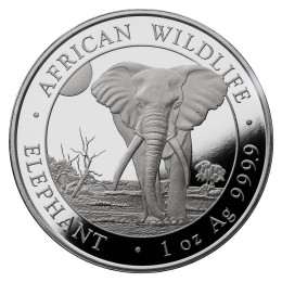 Somalija: 100 Schillings 2025 - 1oz .9999 Ag ST - African Wildlife - ELEPHANT
