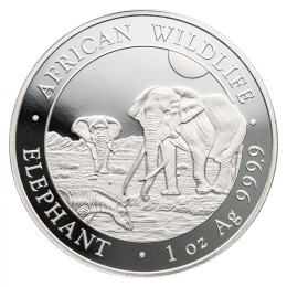 Somalija: srebrnik African Wildlife – Elephant (Slon) 100 Schillings ST 2026 1 oz .9999 srebro, Bavarian State Mint