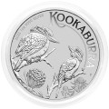 Avstralija: 1 AUD 2023 - 1oz .9999 Ag BU - KOOKABURRA (AU0990X002443) numizmatika kovanci