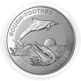 Avstralija: 1 AUD 2023 - 1oz .999 Ag BU - Rough-Toothed Dolphin