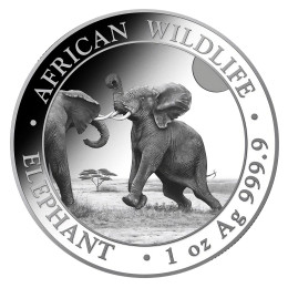 Somalija: 100 Schillings 2024 - 1oz .9999 Ag ST - African Wildlife - ELEPHANT