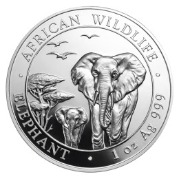 Odkup Somalija 100 shillings 2015 1 oz srebro (.999) – ST – Somalijski slon