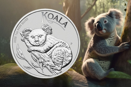 NOV MOTIV - KOALA 2025