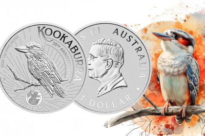 NOV MOTIV - Kookaburra 2025