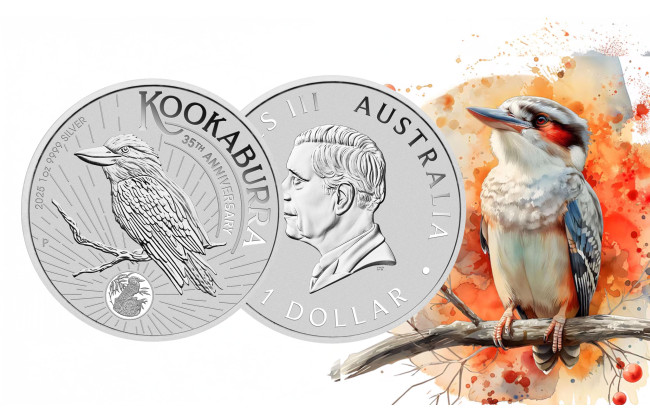 NOV MOTIV - Kookaburra 2025