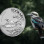 NOV MOTIV - Srebrna Kookaburra 2026 – prepoznavna ikona investicijskih kovancev