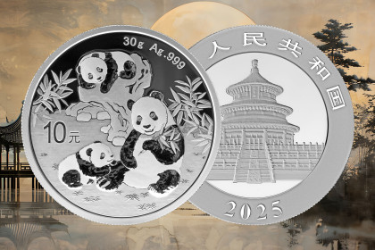 NOV MOTIV - Panda 2025
