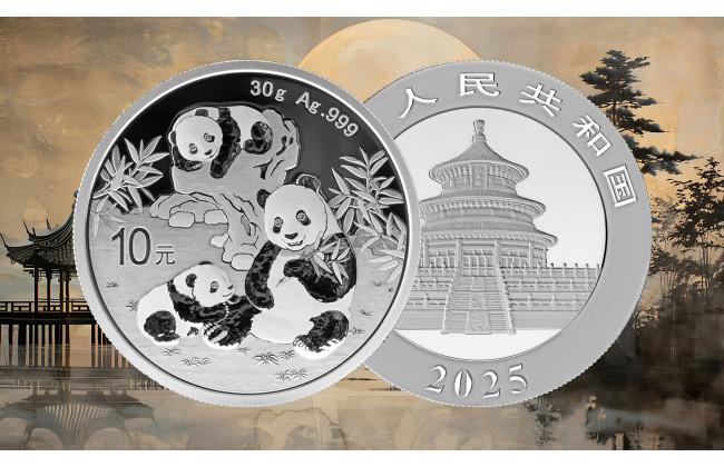 NOV MOTIV - Panda 2025
