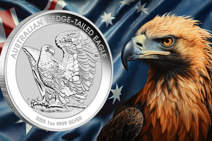 NOV MOTIV - Wedge Tailed Eagle 2025
